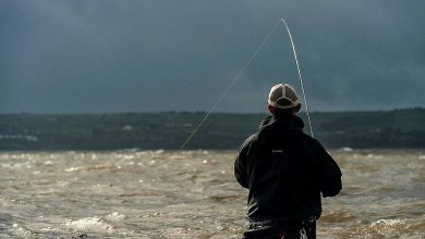 a-beginner's-guide-to-fishing-in-murky-waters