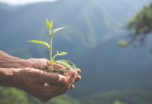 sustainable-supply-chain-practices-at-lead:-building-a-responsible-future